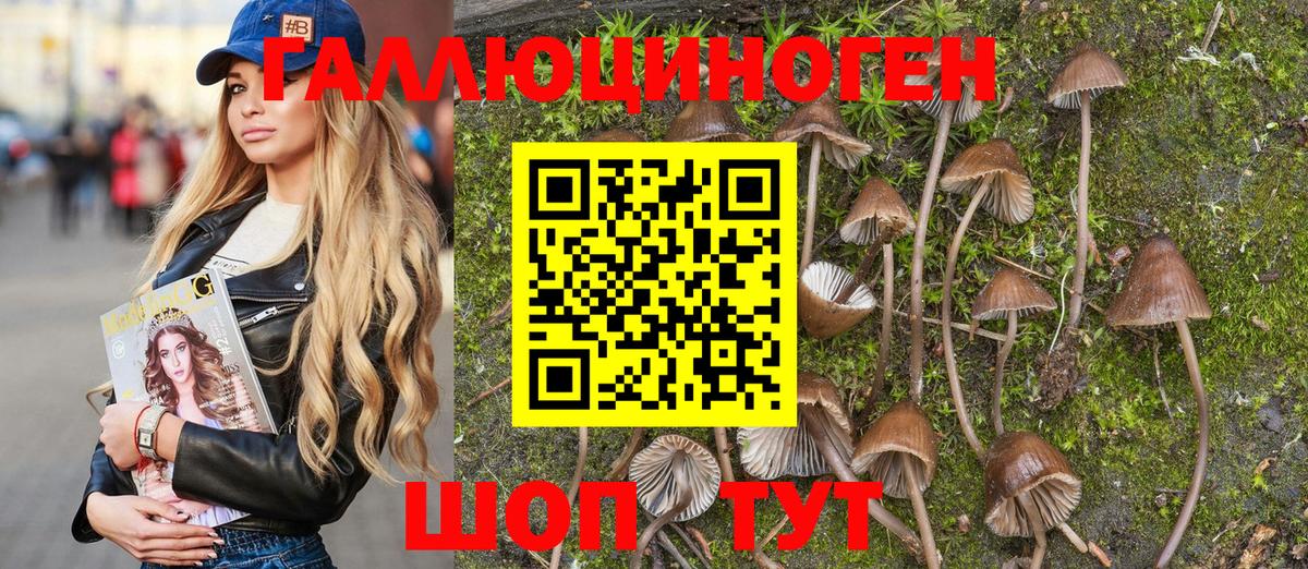Черняховск  Галлюциногенные грибы MAGIC MUSHROOMS  Вход с VPN  Псилоцибиновые грибы мухоморы 